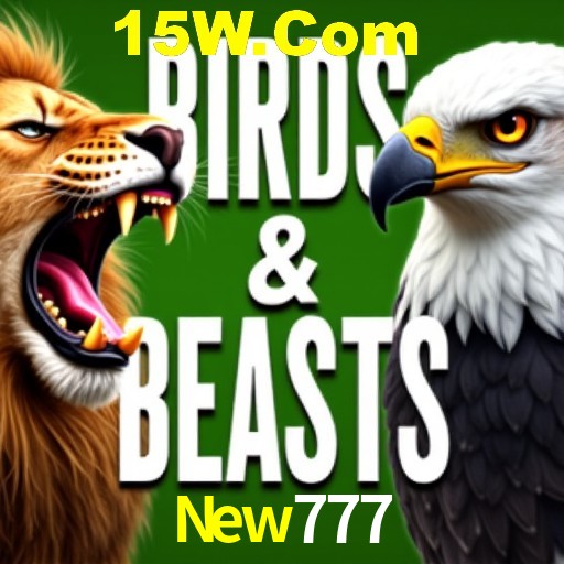Apostas Esportivas na New777: Um Guia Completo